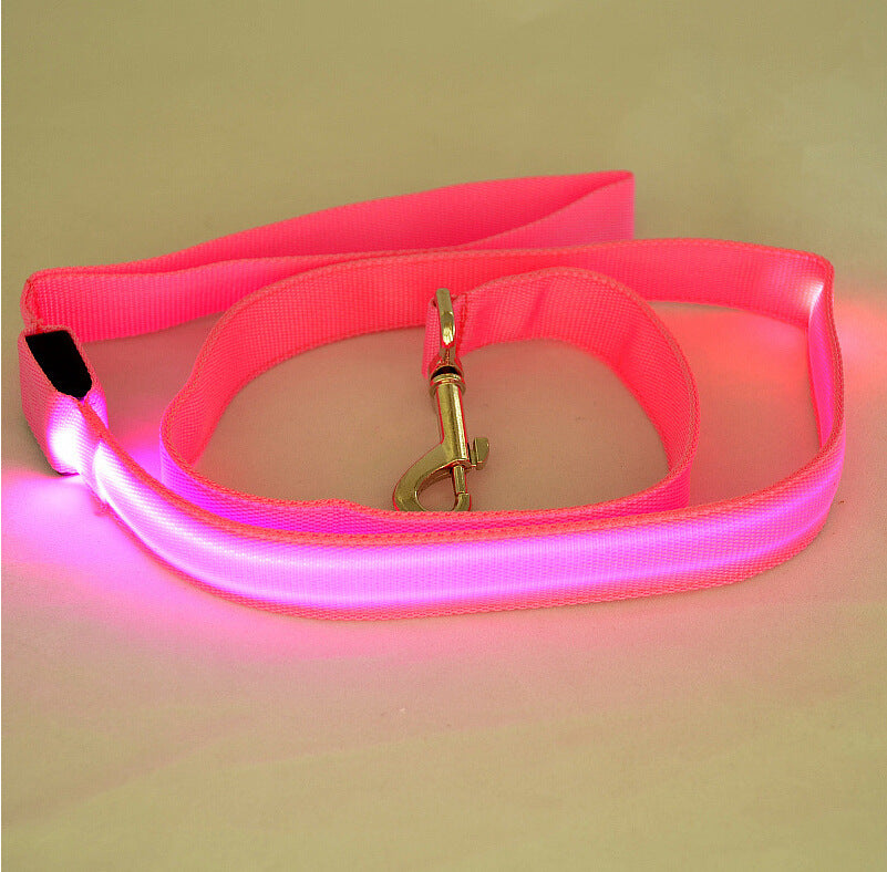 Night Walk Essential: LED Glowing Dog Leash
