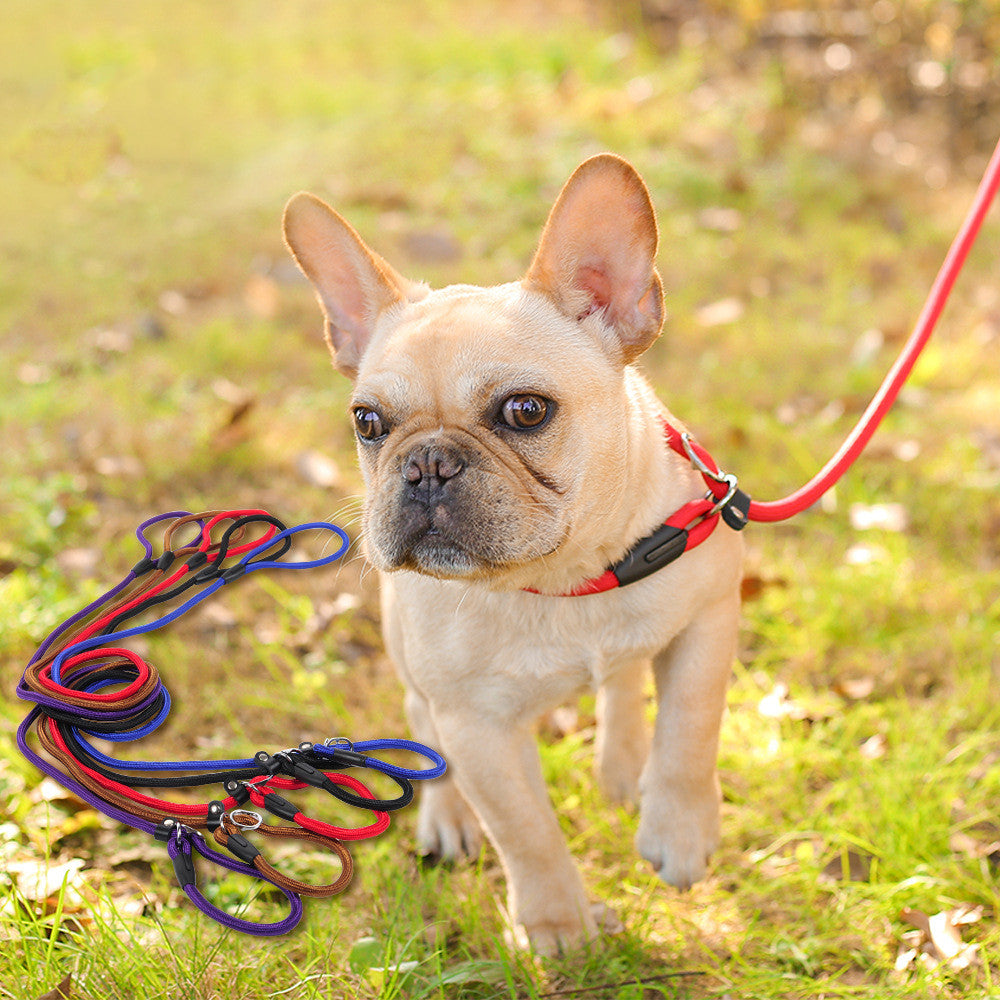 Smooth Strolls: Reliable Dog Leash for Any Walk
