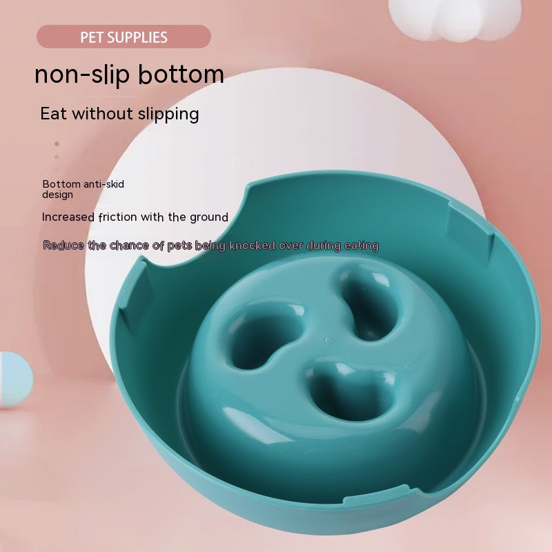 Slow Feeder Pet Bowl – Happier Tummies, Calmer Meals