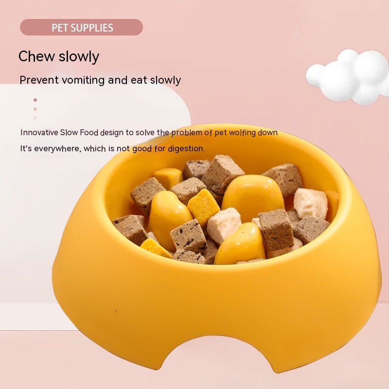 Slow Feeder Pet Bowl – Happier Tummies, Calmer Meals