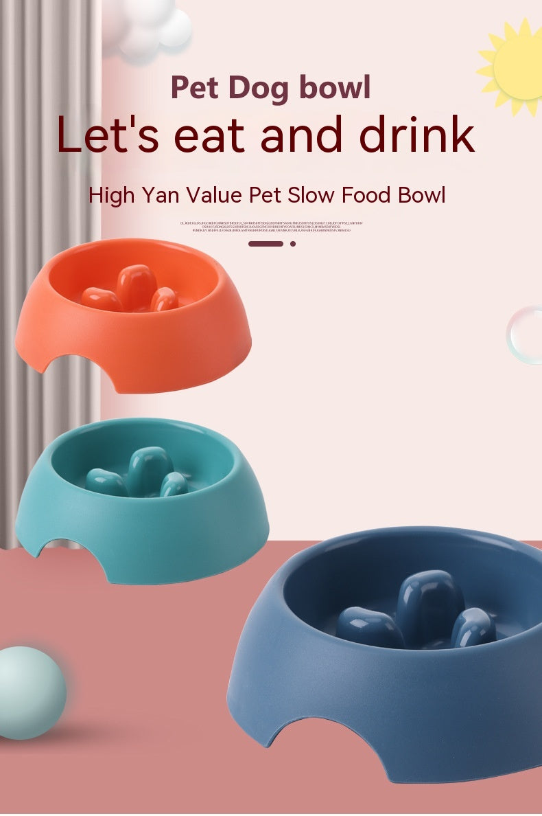 Slow Feeder Pet Bowl – Happier Tummies, Calmer Meals