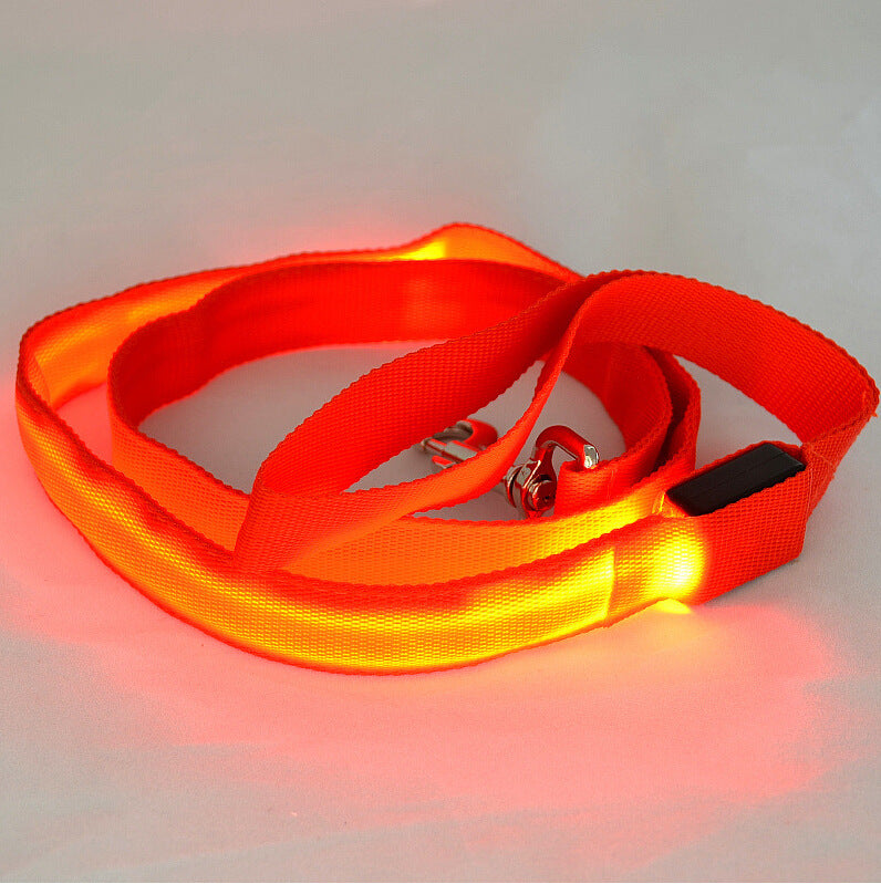 Night Walk Essential: LED Glowing Dog Leash