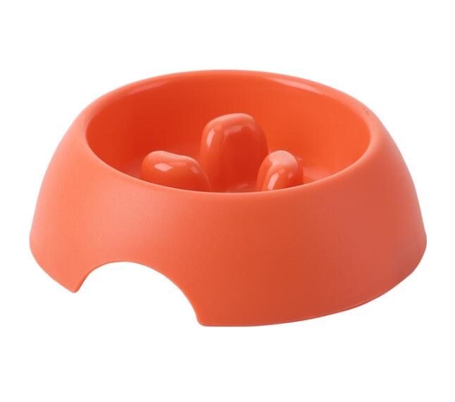 Slow Feeder Pet Bowl – Happier Tummies, Calmer Meals