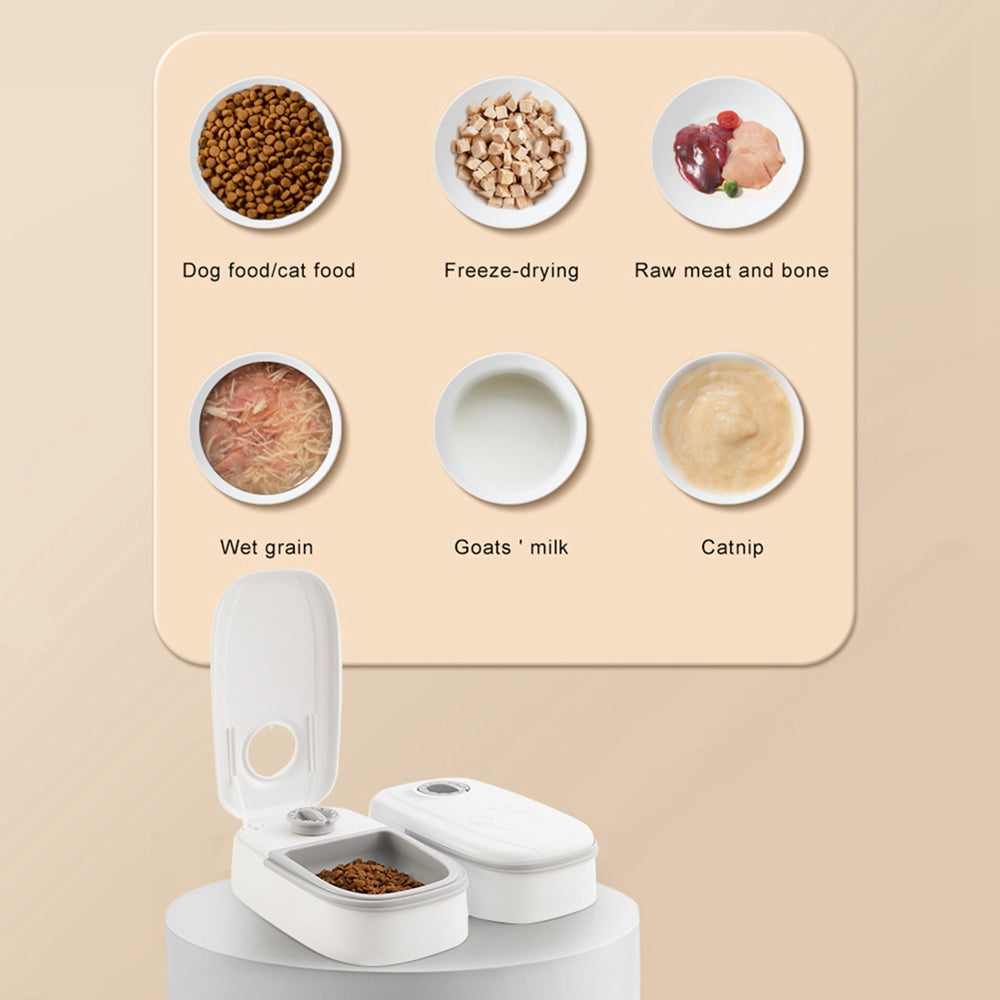 Portion-Friendly Auto Feeder with Stainless Steel Bowl