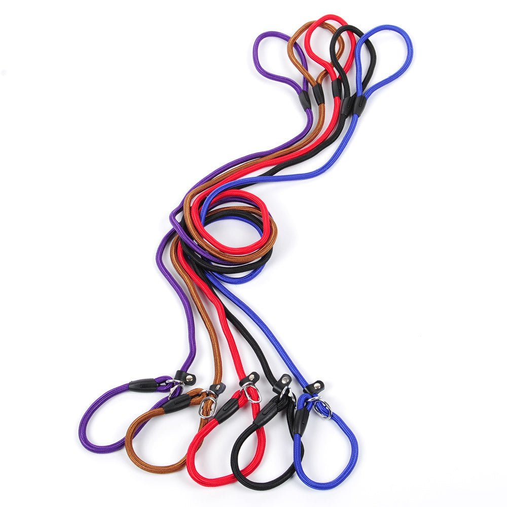 Smooth Strolls: Reliable Dog Leash for Any Walk