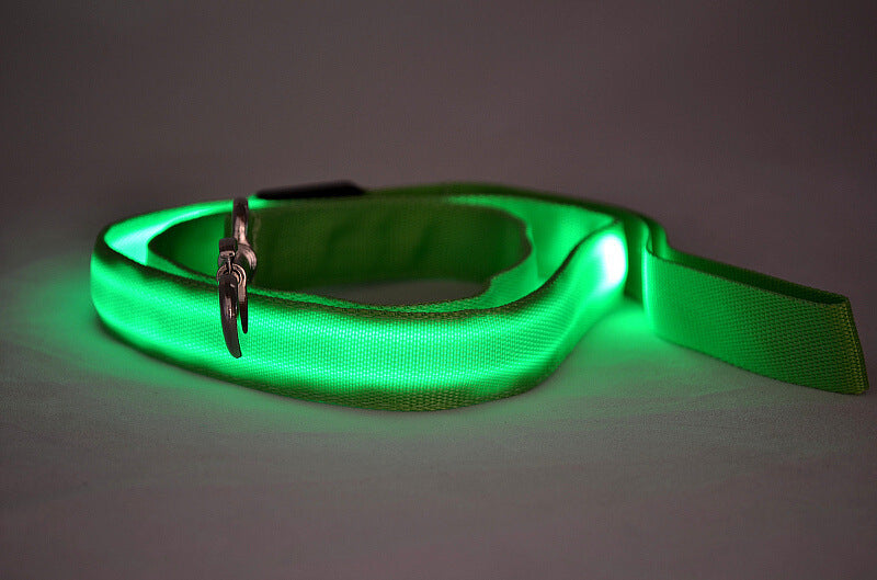 Night Walk Essential: LED Glowing Dog Leash