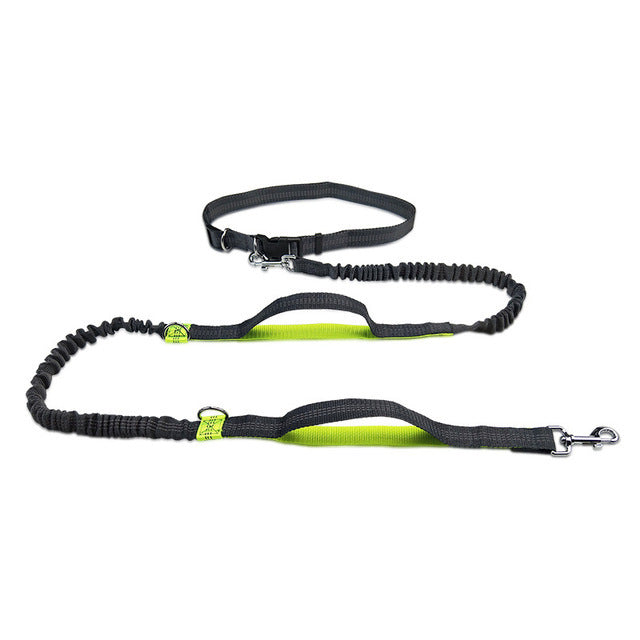 Everyday Adventure Set: Harness, Collar & Leash