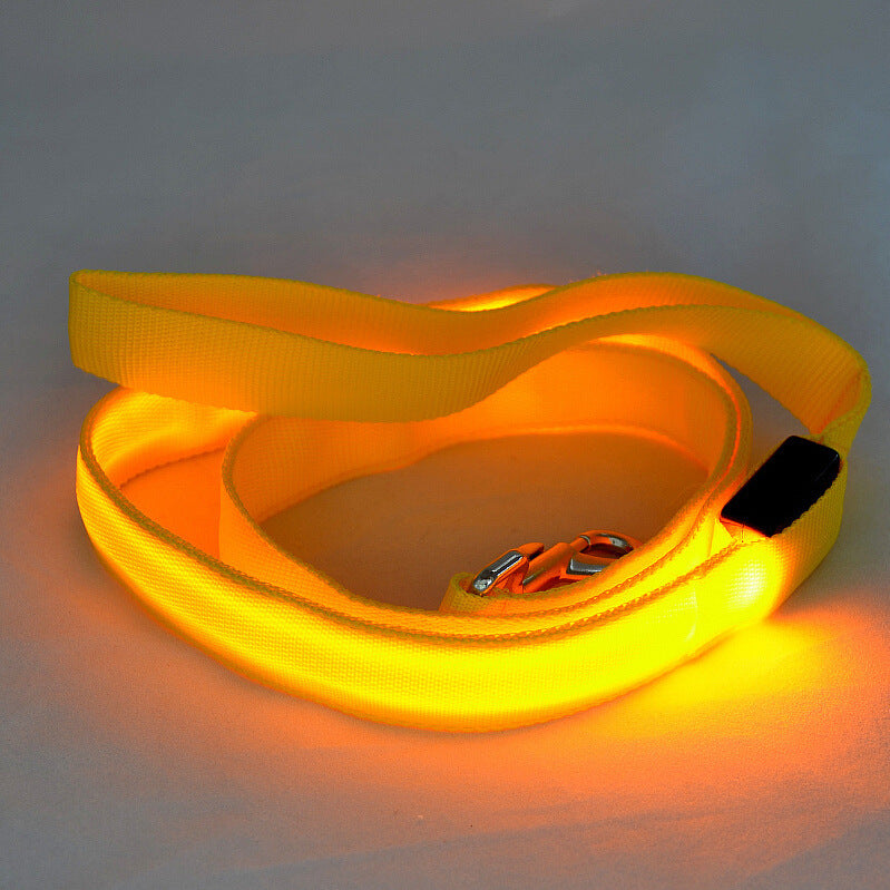 Night Walk Essential: LED Glowing Dog Leash