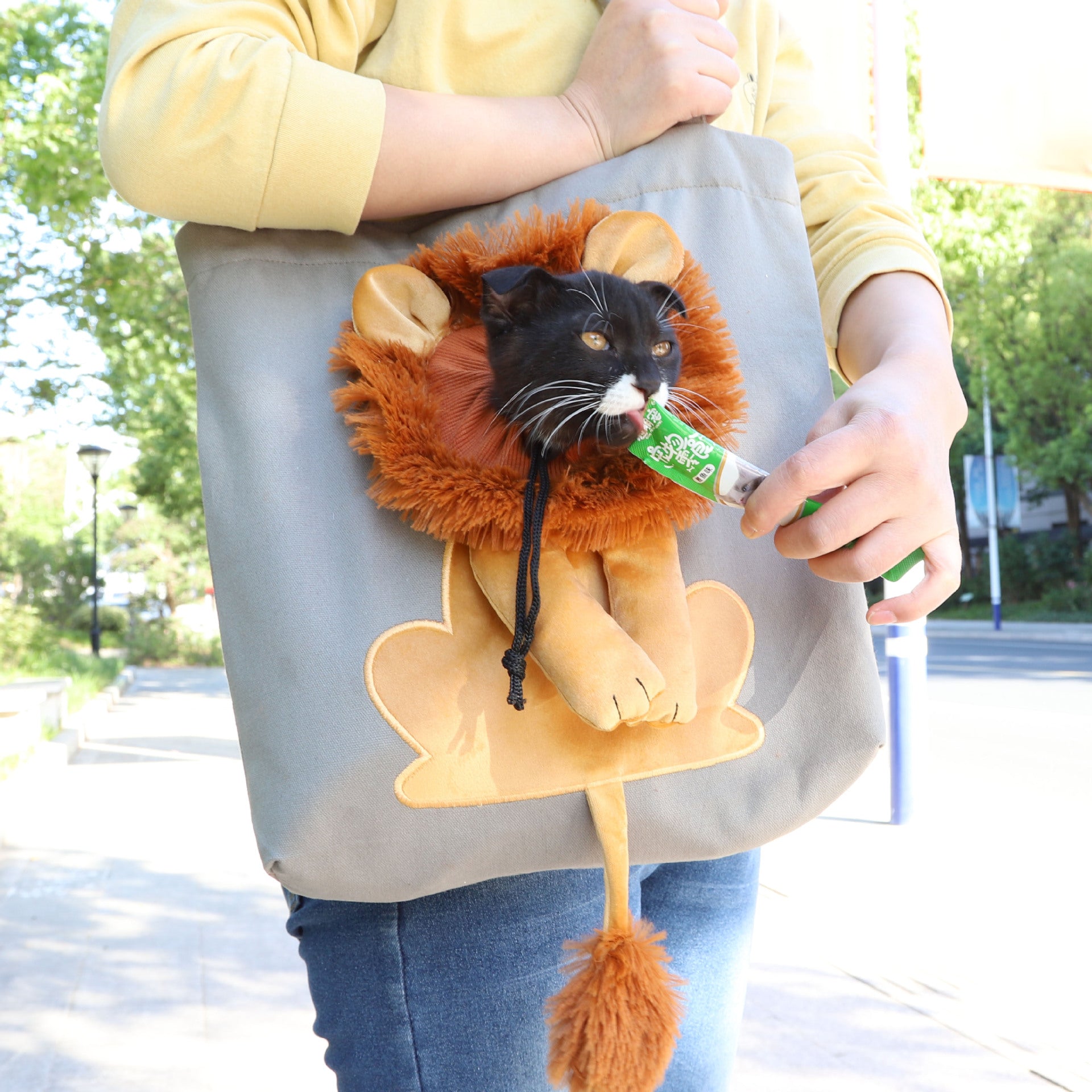 Travel Made Cute: Lion Pet Carrier for Small Pets
