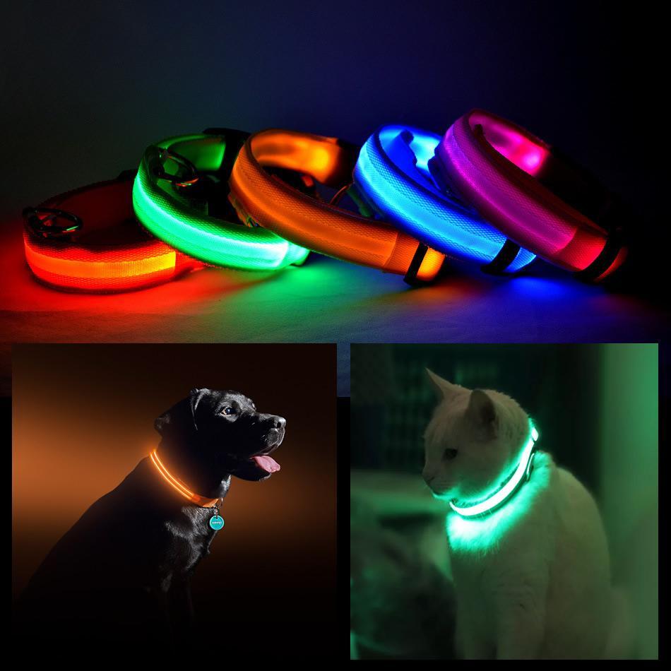 Bright Blue Safety Collar for Dogs and Cats