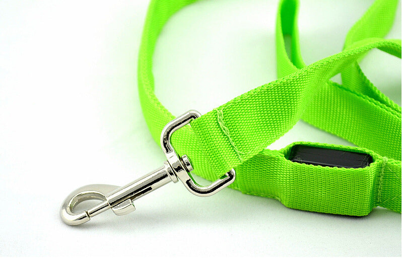 Night Walk Essential: LED Glowing Dog Leash