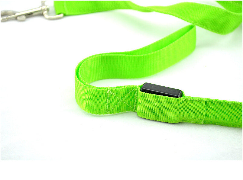 Night Walk Essential: LED Glowing Dog Leash