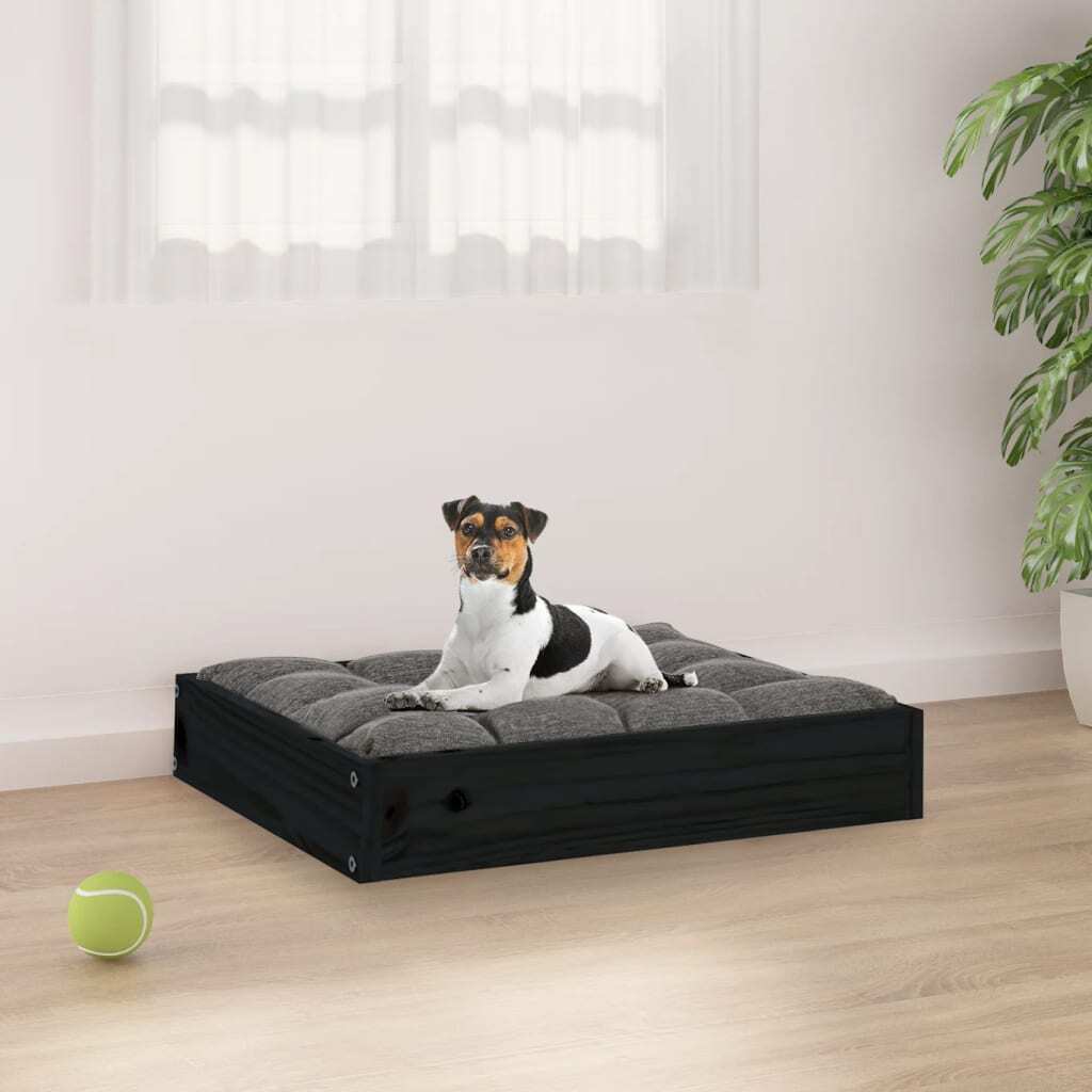 Cute, Clean, ComfySmall Dog Bed in Black