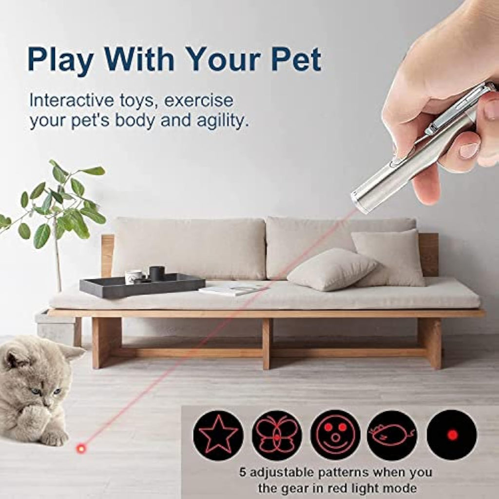 Happy Kitty Workout: Interactive Pointer Toy