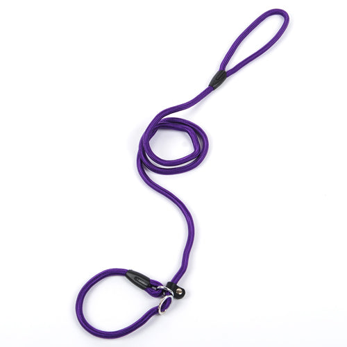 Smooth Strolls: Reliable Dog Leash for Any Walk