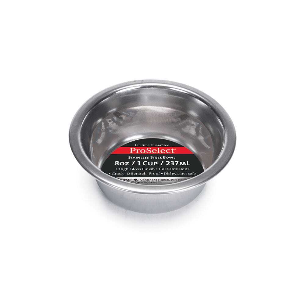 A Better Dog Bowl: Durable, Hygienic, No Fuss