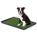 No-Outdoor Needed: Tinkle Turf Medium Dog Potty