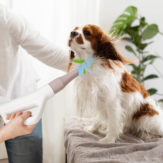 Dog & Cat Hair Blower with Negative Ion Function and Adjustable Temperature