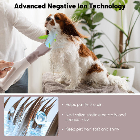 Dog & Cat Hair Blower with Negative Ion Function and Adjustable Temperature