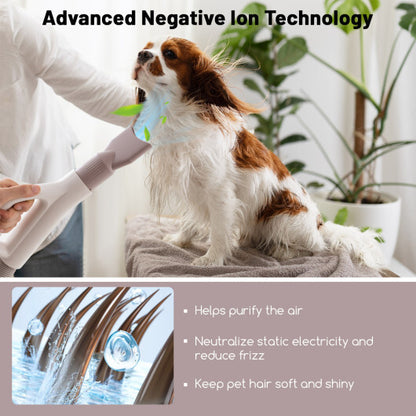Dog &amp; Cat Hair Blower with Negative Ion Function and Adjustable Temperature