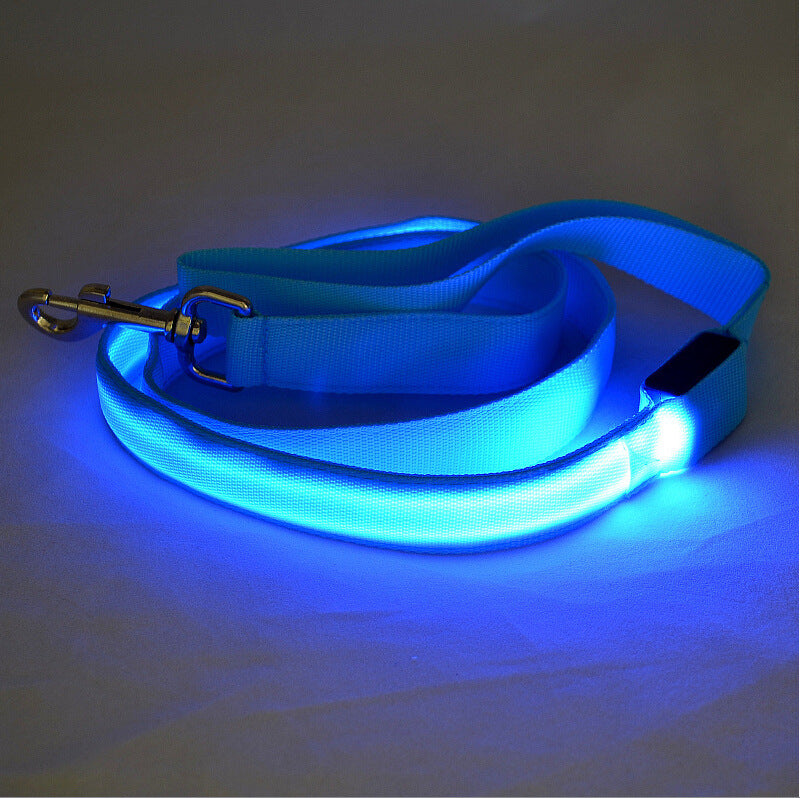Night Walk Essential: LED Glowing Dog Leash