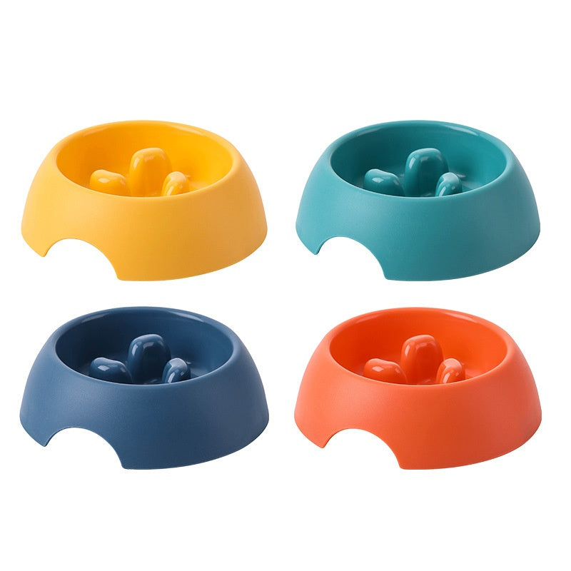 Slow Feeder Pet Bowl – Happier Tummies, Calmer Meals
