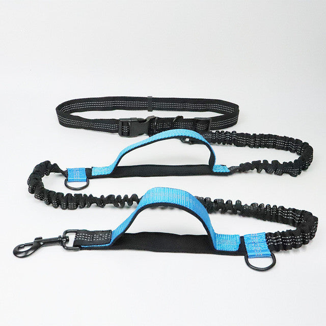 Everyday Adventure Set: Harness, Collar & Leash