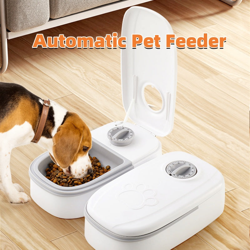 Portion-Friendly Auto Feeder with Stainless Steel Bowl