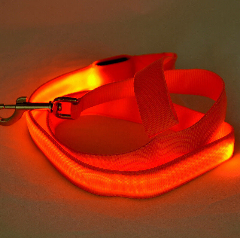 Night Walk Essential: LED Glowing Dog Leash