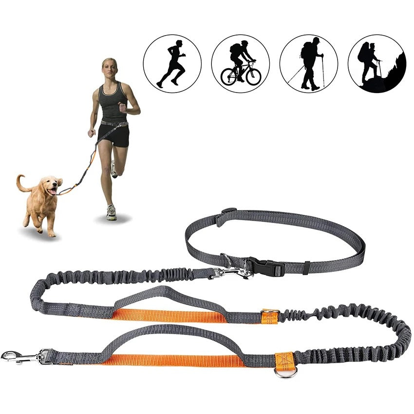 Everyday Adventure Set: Harness, Collar & Leash
