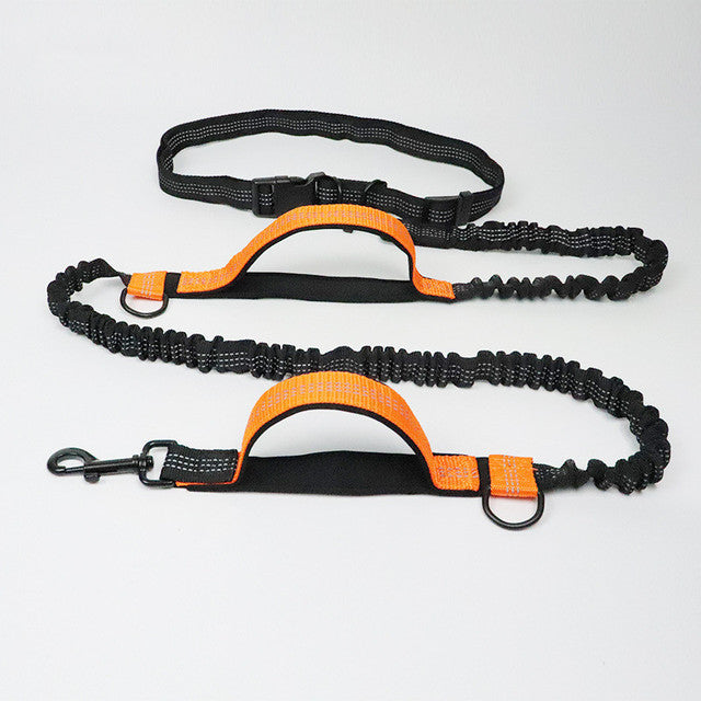 Everyday Adventure Set: Harness, Collar & Leash